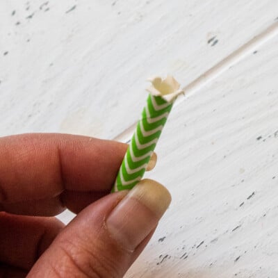 Closeup of a cut drinking straw.