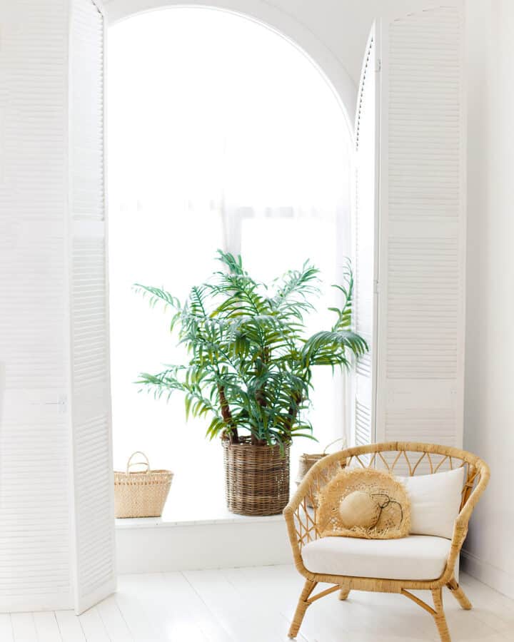 Wicker chair in front of plant and white window with shutters.