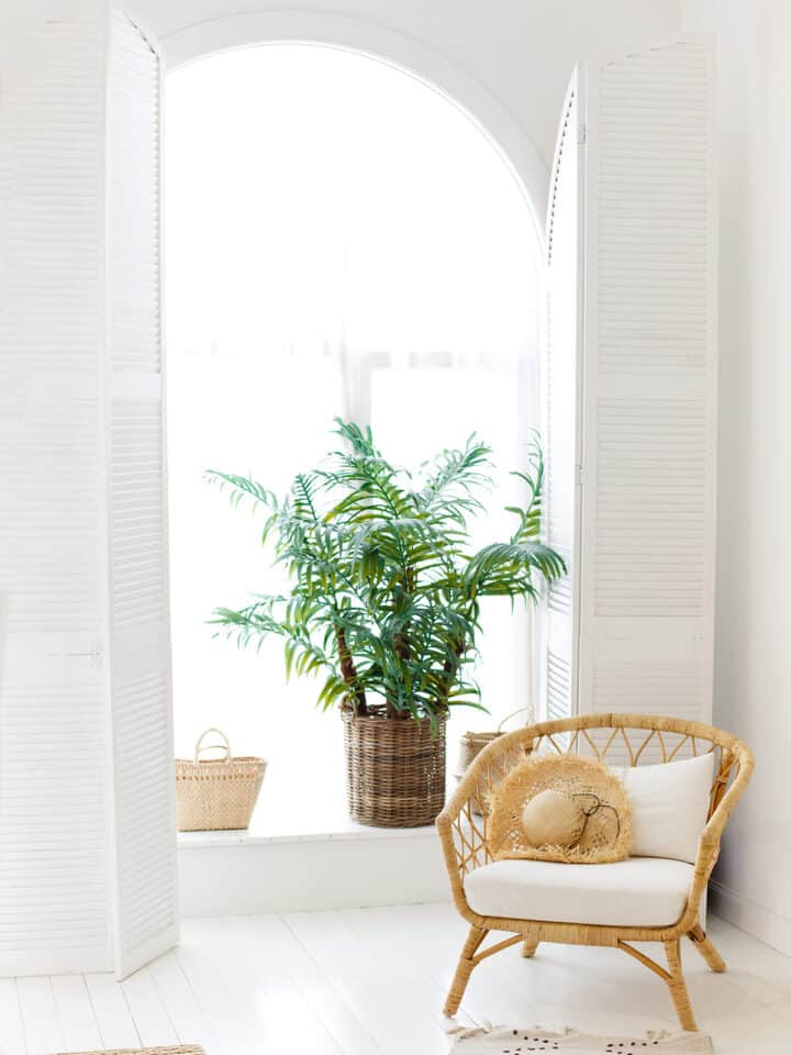 Wicker chair in front of plant and white window with shutters.