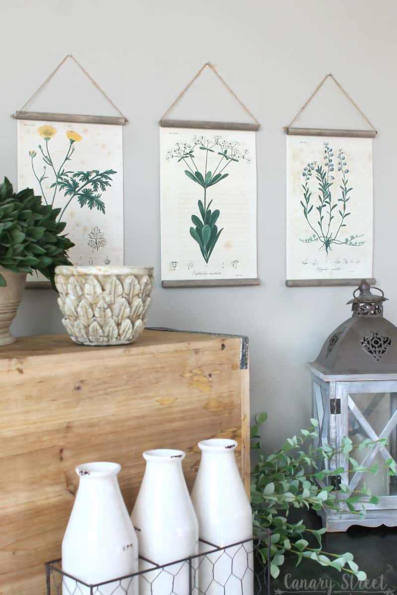 Three botanical print hangings on cardstock fastened to wooden dowels and hung with plain twine.