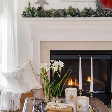 Neutral Christmas decor - coffee table styling with paperwhites