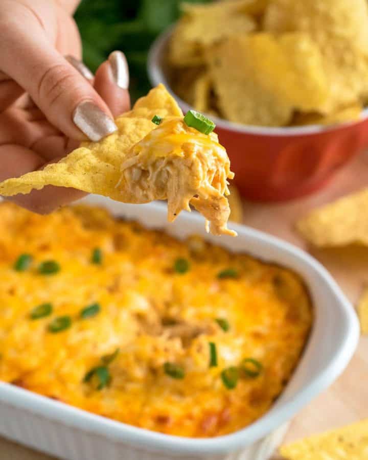 Buffalo Chicken dip being scooped on a tortilla chip.