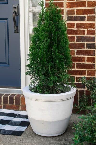 Large planter for $18 made from concrete. Here's the tutorial for making large planters to refresh your curb appeal.