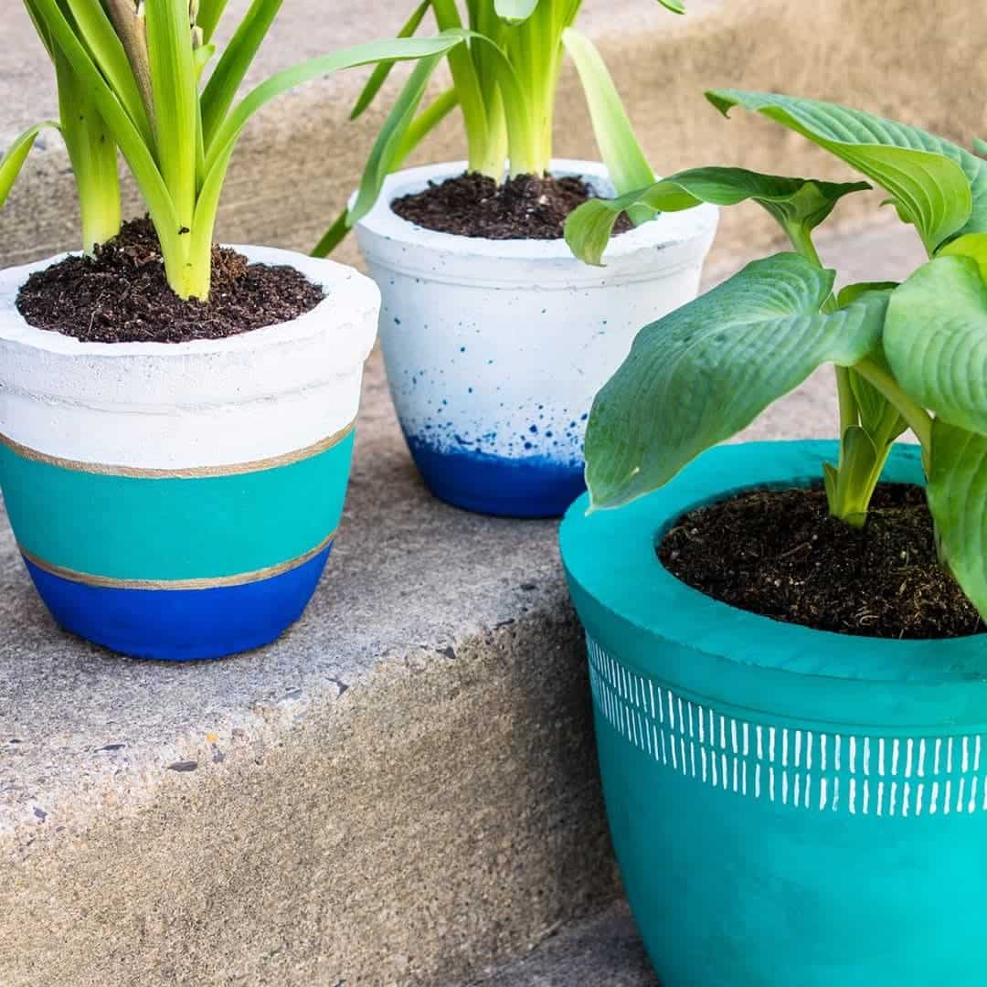 DIY Concrete Plant Pots • Craving Some Creativity