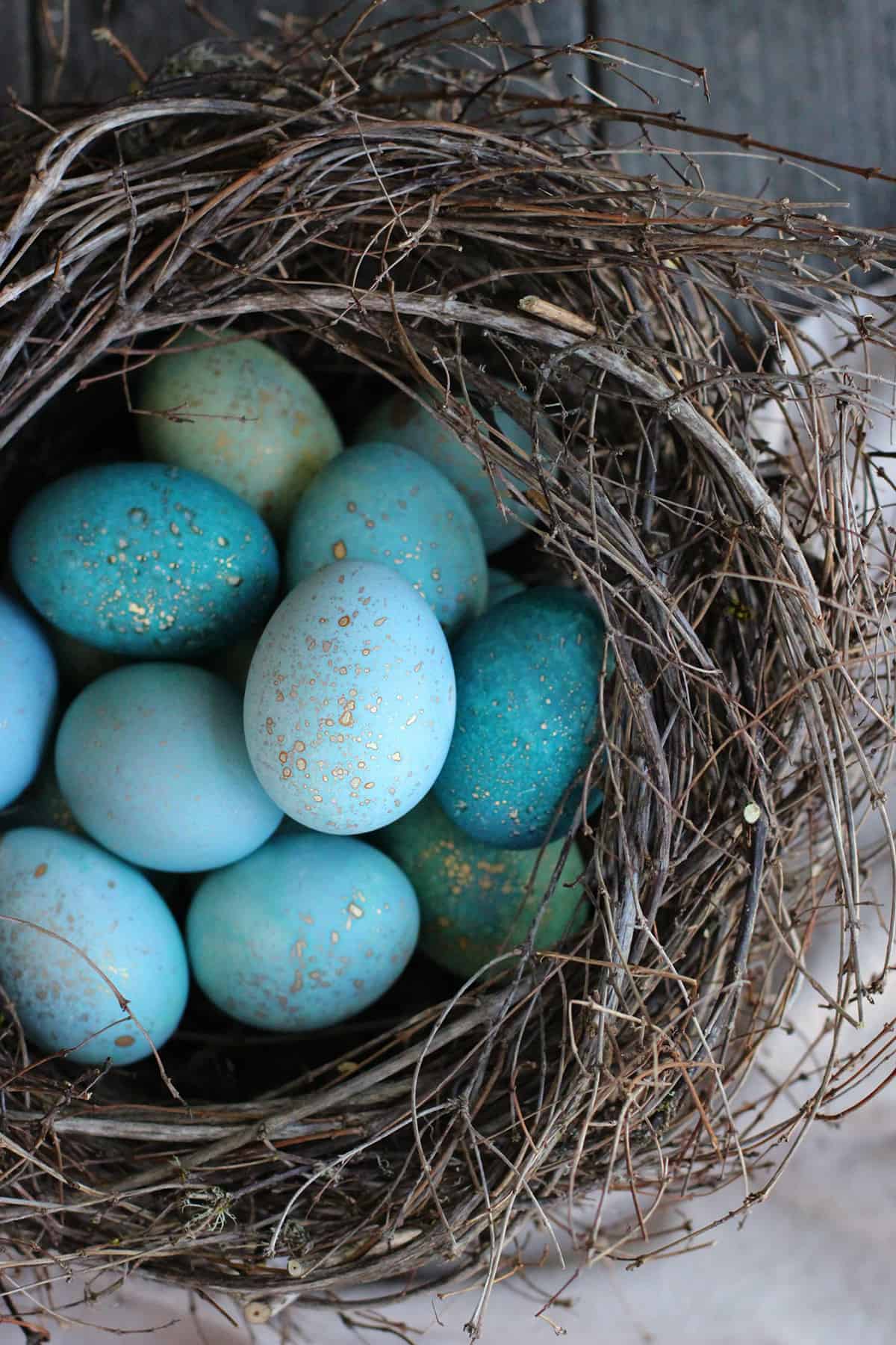 Birds nest filled with robins egg inspired DIY dyed eggs with gold flecks.