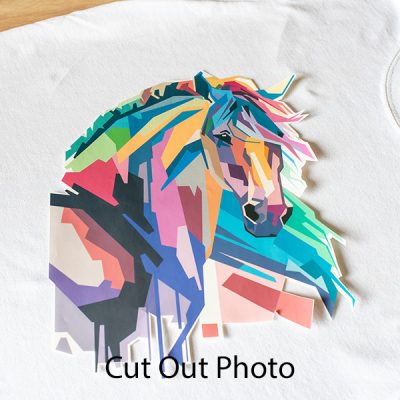 A horsehead photo cut out of transfer paper.