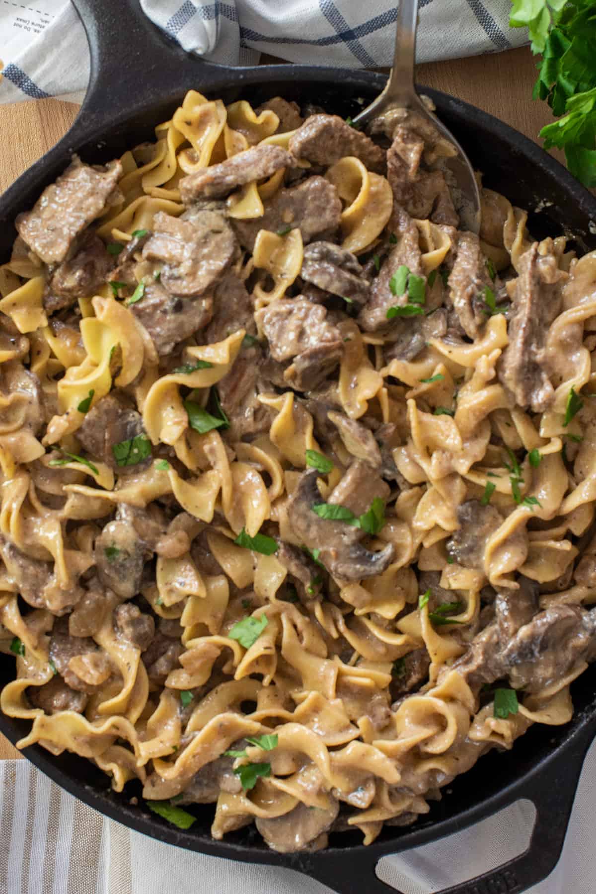 Beef Stroganoff with egg noodles in a pan ready for serving.