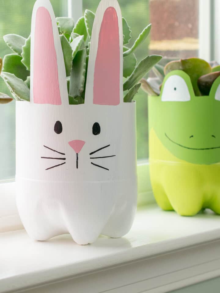 These recycled plastic bottle planters are so adorable and can be self watering planters . They are perfect for a cactus or succulent!