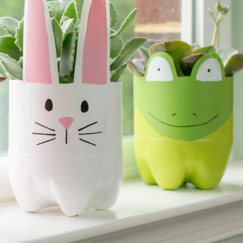 These recycled plastic bottle planters are so adorable and can be self watering planters . They are perfect for a cactus or succulent!