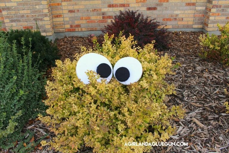 A yard monster made from putting large eyes in the bushes for an easy DIY Halloween decoration.