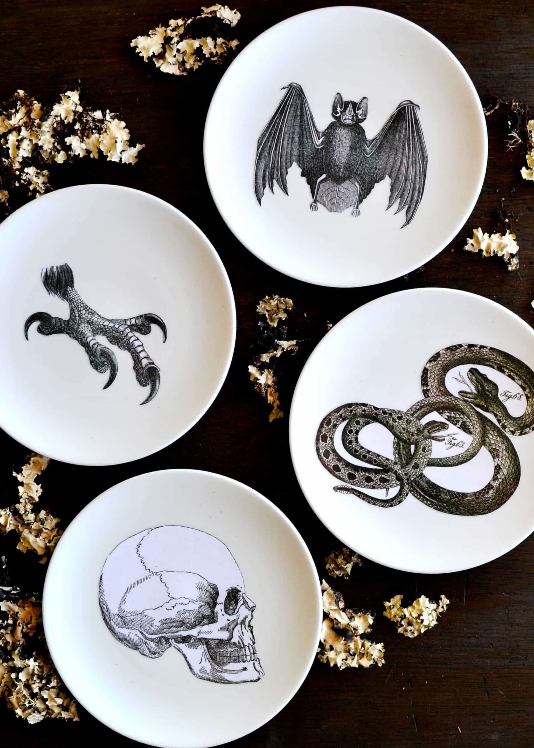 Four plates depicting a snack, a claw, a bat, and a skull on a black table.