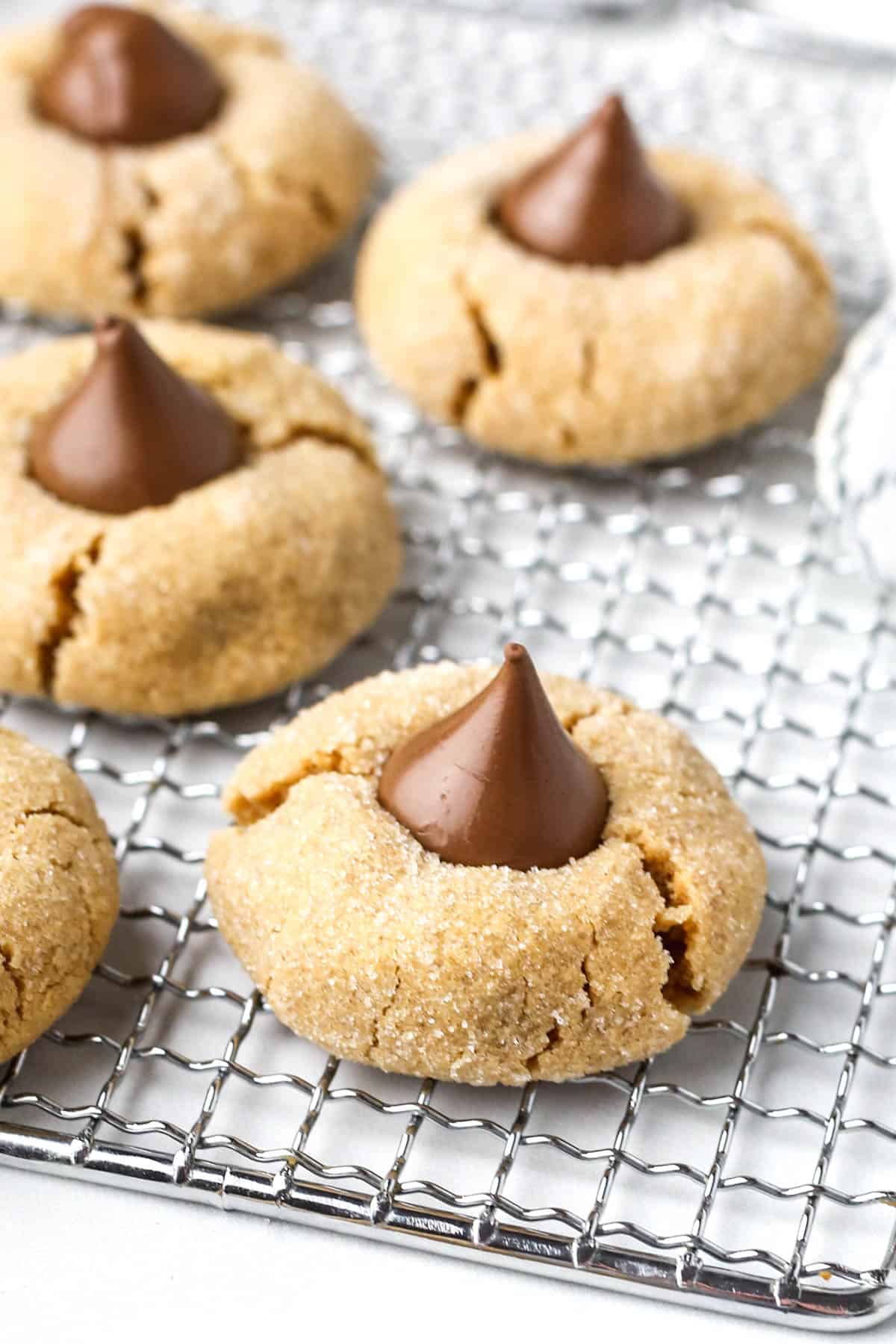 A peanut butter blossom cookie with a Hershey's kiss on top.