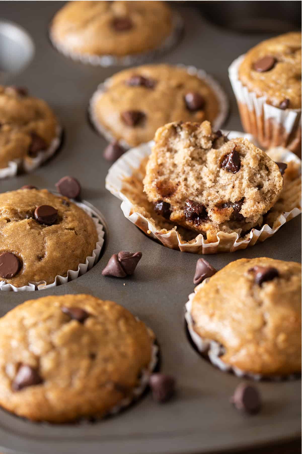 Banana Chocolate chip muffins in a muffin tin with one muffin broken open to show texture.