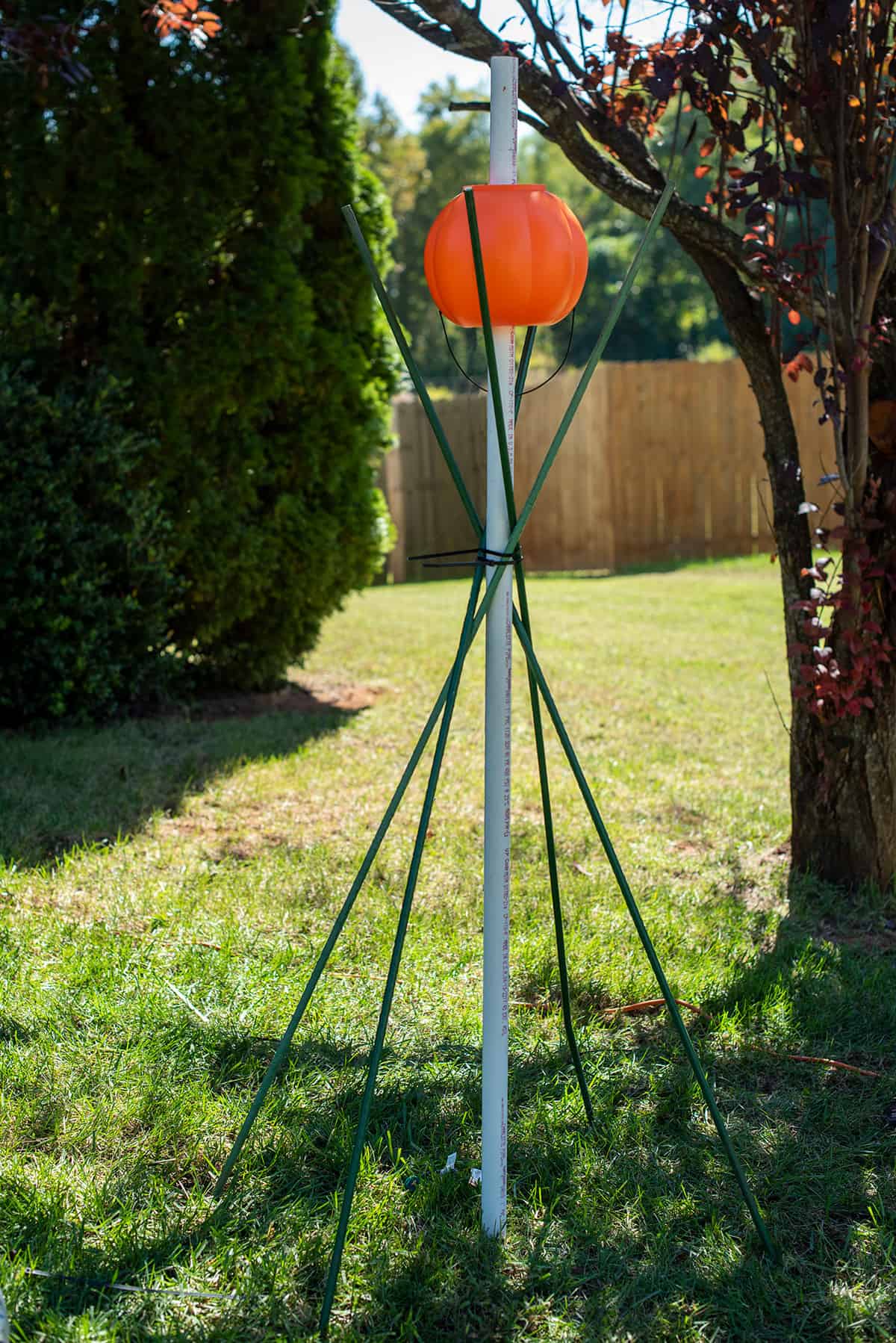 Tomato cage stakes wrapped around a pvc pipe to create the body of a witch halloween decoration.