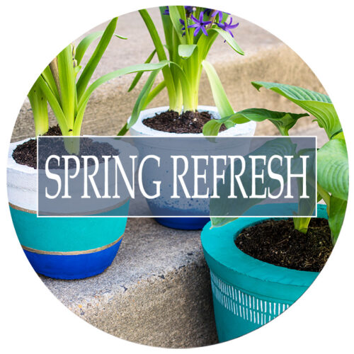 Bright spring plant pots with spring cleaning and organization title.