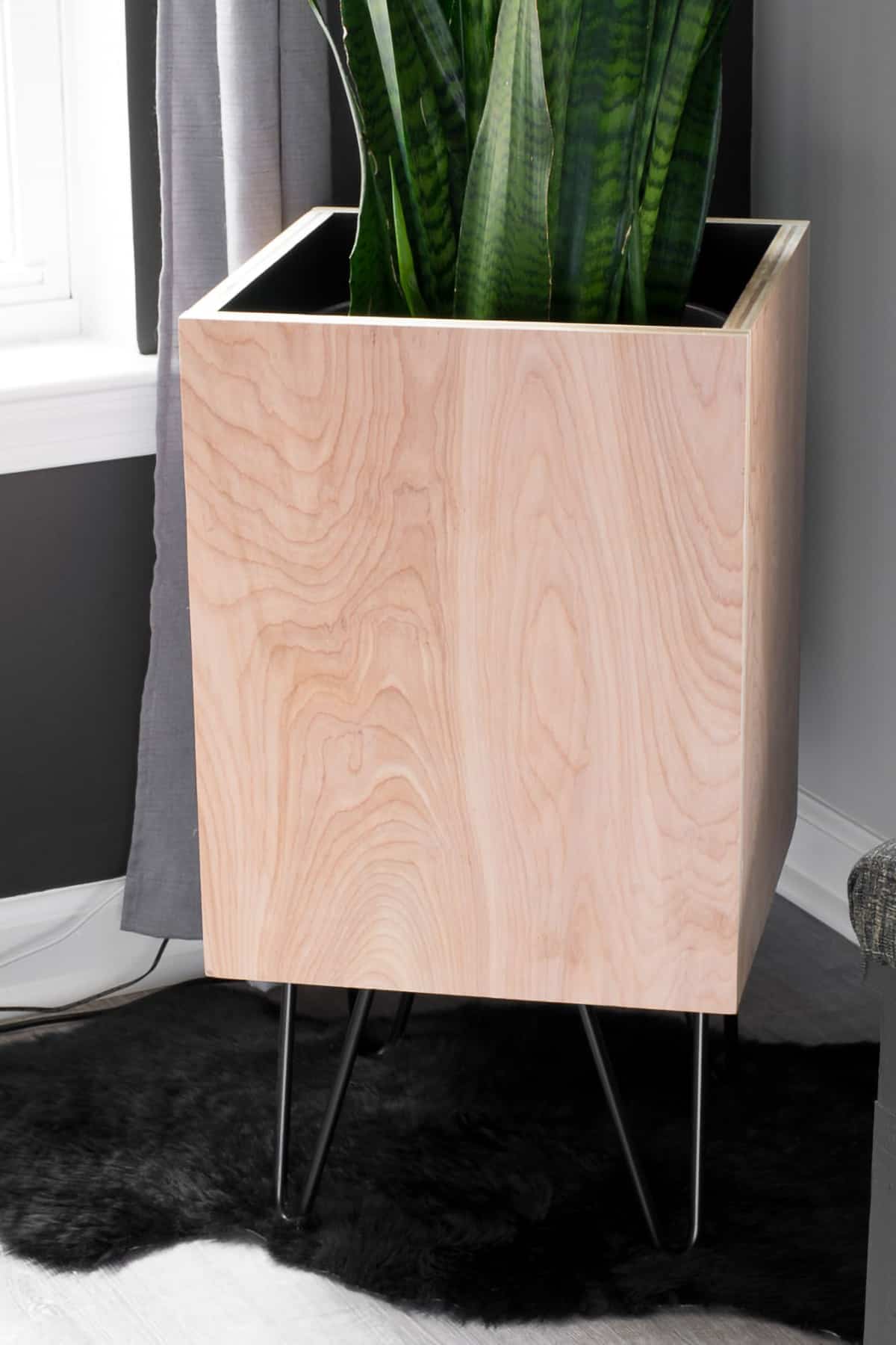 Large modern plywood planter with hairpin legs on cowhide rug in window.