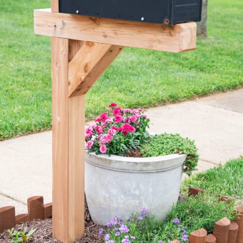 Self-watering planter in a mailbox garden idea for decoration.