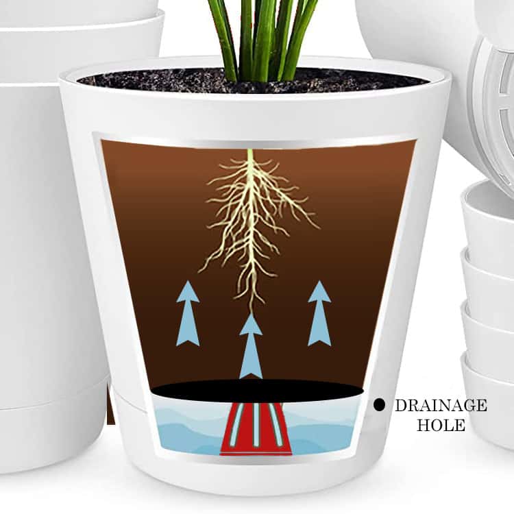 Self-watering pot diagram with cutaway to show how it works.