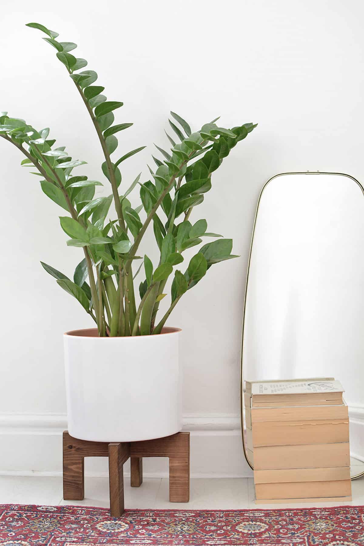 White plant pot on wooden homemade stand.
