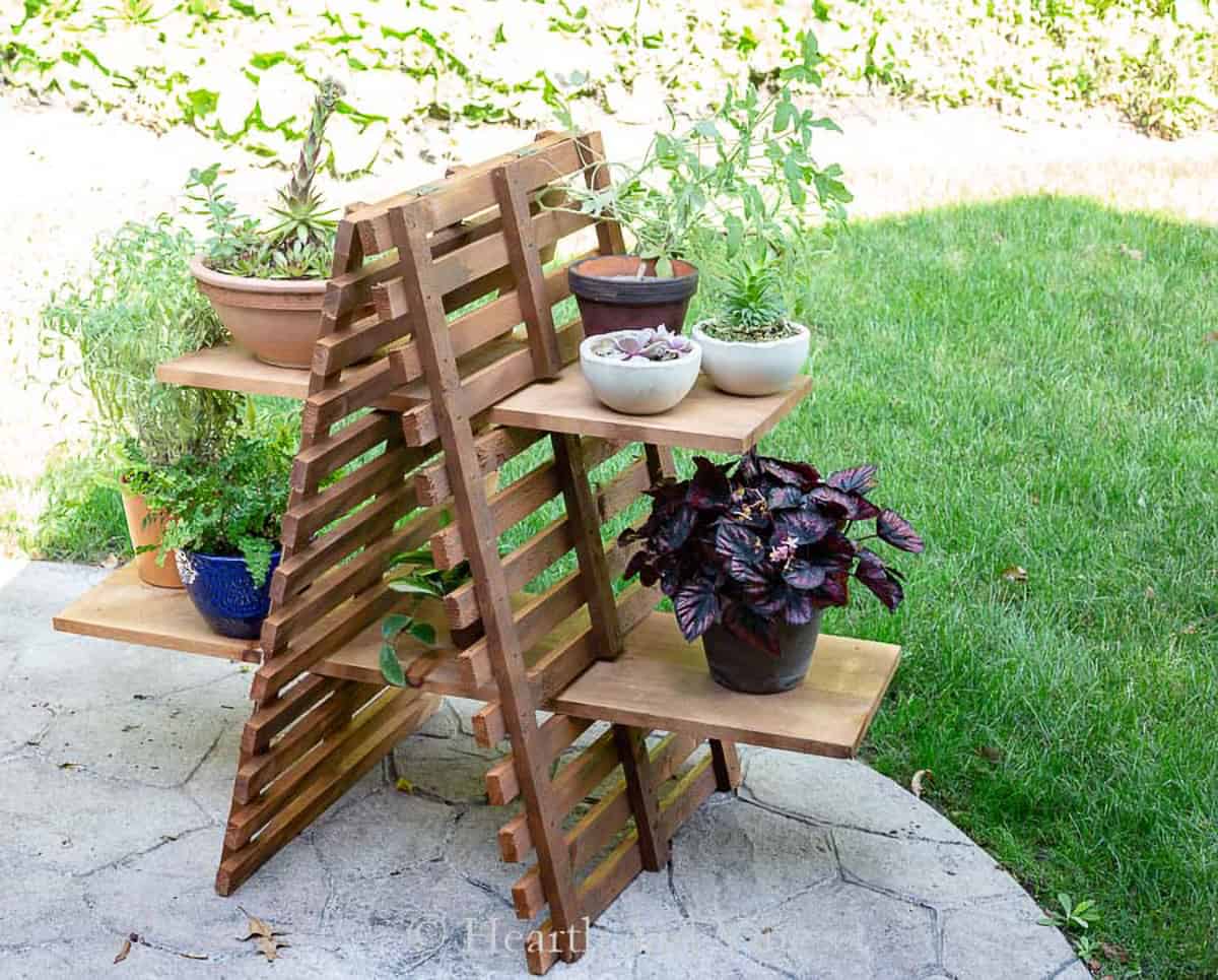 Large outdoor plant shelf on a tiered A-frame with various plants on it.