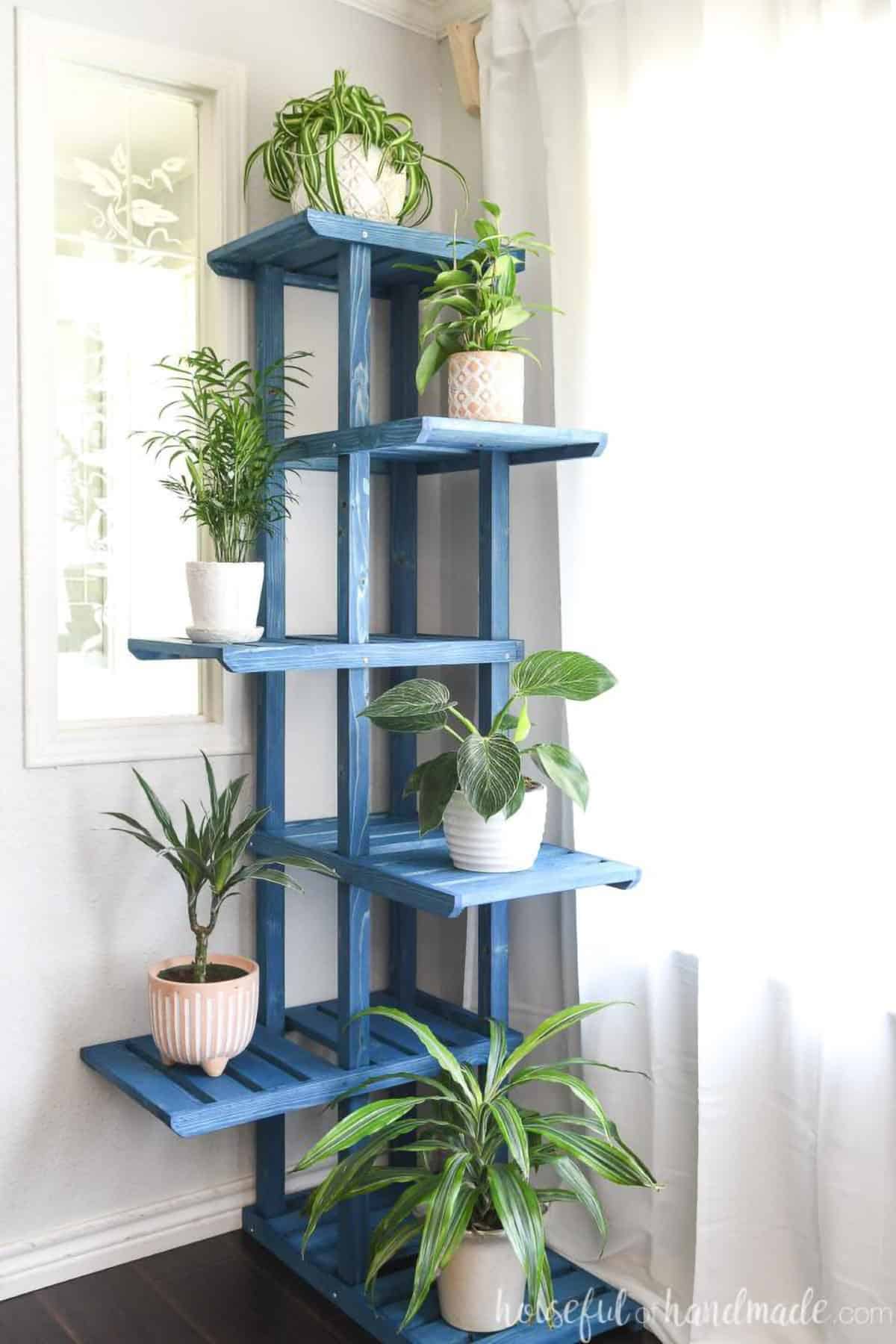 Tiered DIY corner wooden plant stand stained blue with white/neutral potted green plants.