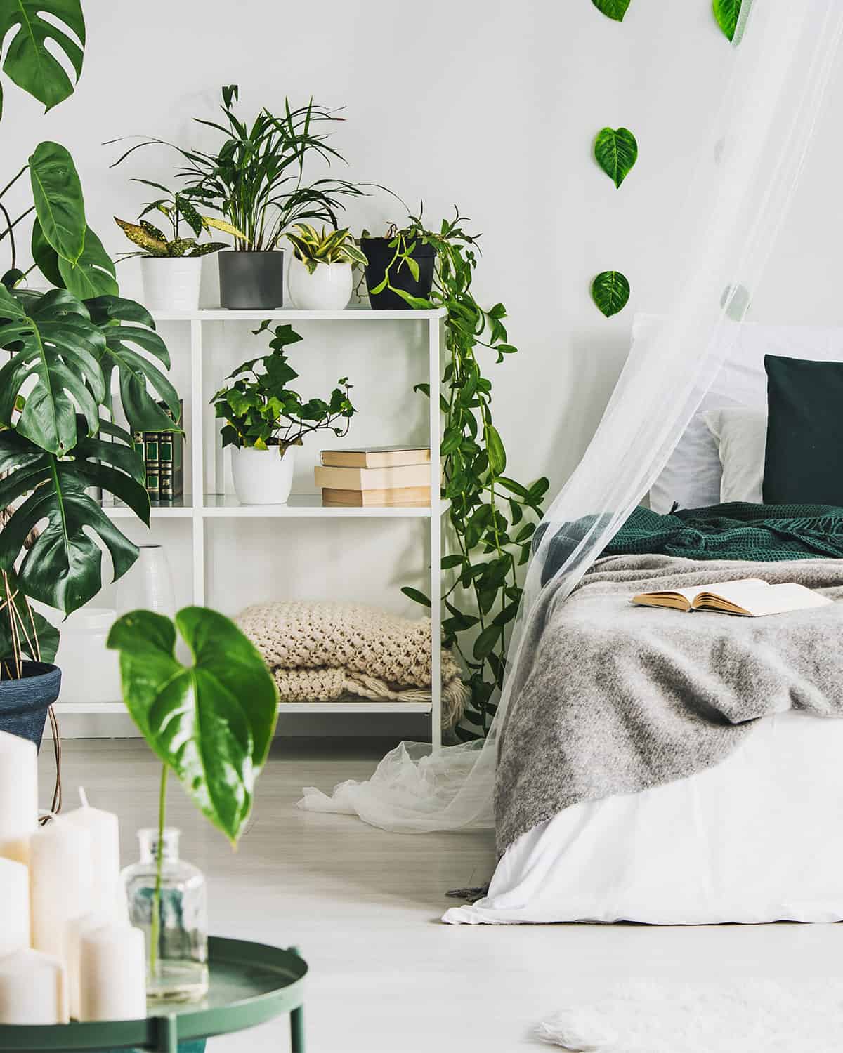 A greenery and houseplant feature wall adds to the jungle effect in this tropical bedroom.