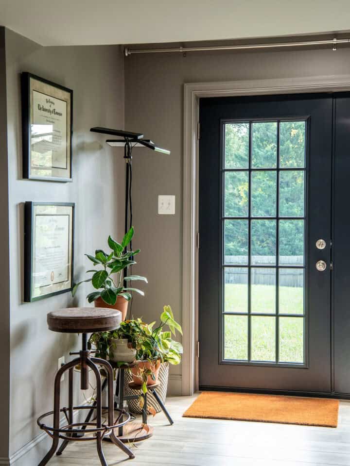 Plant corner with a black exterior French door and plant stand.